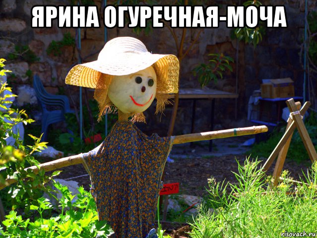 ярина огуречная-моча , Мем Ярина огуречная-моча
