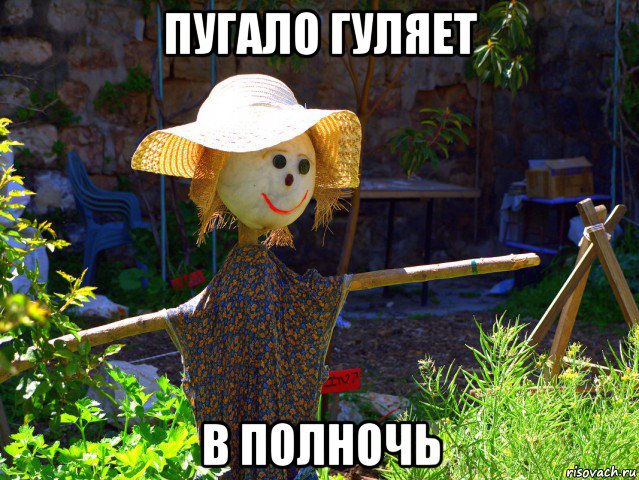 пугало гуляет в полночь, Мем Ярина огуречная-моча