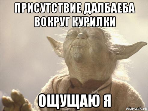 присутствие далбаеба вокруг курилки ощущаю я
