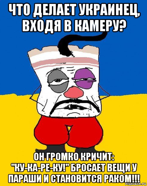 что делает украинец, входя в камеру? он громко кричит: "ку-ка-ре-ку!" бросает вещи у параши и становится раком!!!, Мем Западенец - тухлое сало