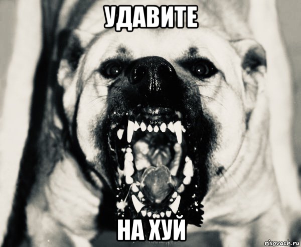 удавите на хуй, Мем Живодерня для бешеных