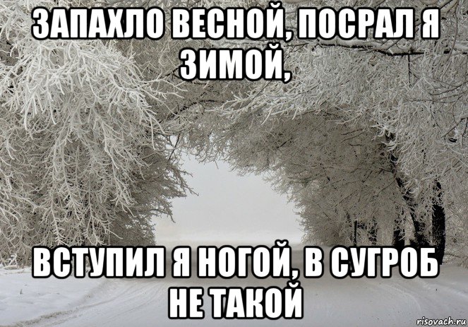 запахло весной, посрал я зимой, вступил я ногой, в сугроб не такой, Мем Зимняя дорога