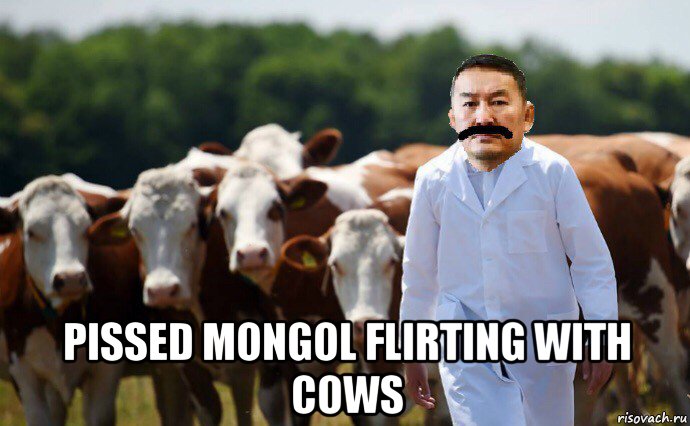  pissed mongol flirting with cows, Мем Злой Халтмаагийн Баттулга и коровы