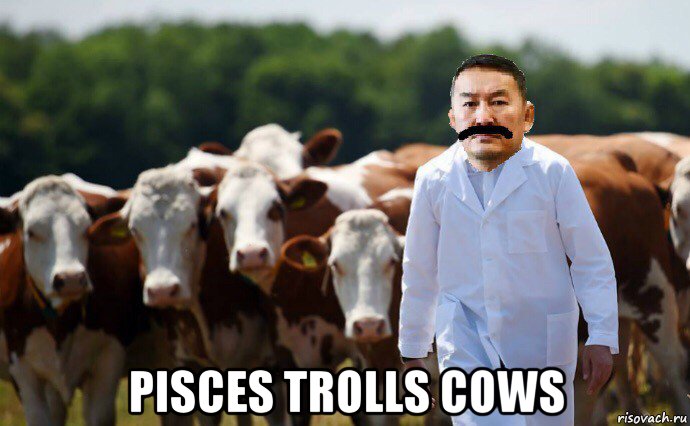  pisces trolls cows, Мем Злой Халтмаагийн Баттулга и коровы