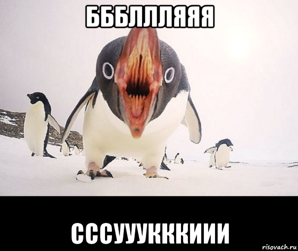 бббллляяя сссууукккиии