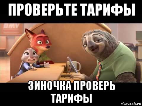 проверьте тарифы зиночка проверь тарифы