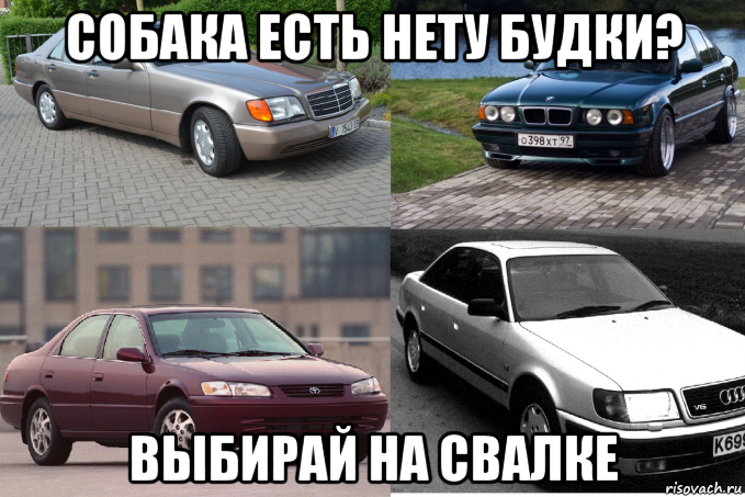 собака есть нету будки? выбирай на свалке