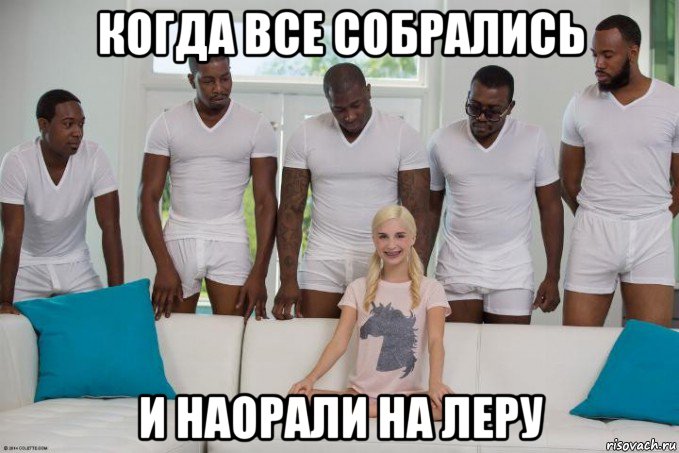 когда все собрались и наорали на леру, Мем 5 негров