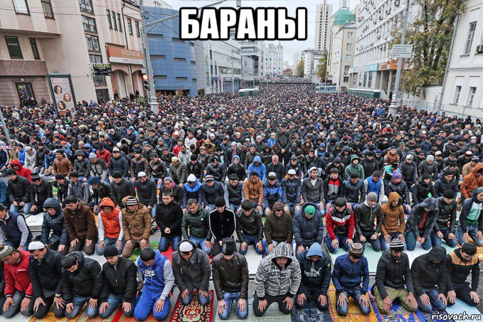 бараны , Мем А