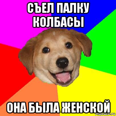 съел палку колбасы она была женской, Мем Advice Dog