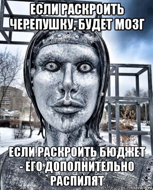 если раскроить черепушку, будет мозг если раскроить бюджет - его дополнительно распилят, Мем Аленка