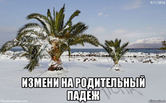  измени на родительный падеж, Мем Алоха блеать