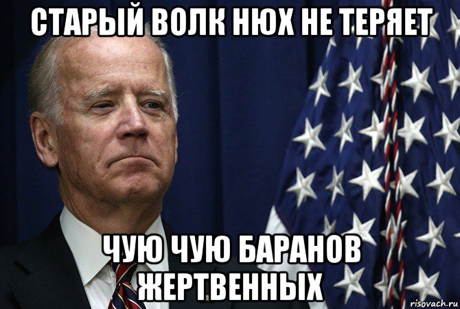 старый волк нюх не теряет чую чую баранов жертвенных, Мем Байдан