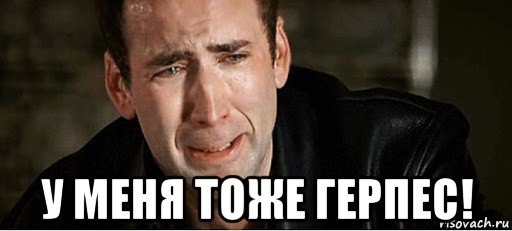  у меня тоже герпес!, Мем Байден вернулся