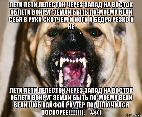 лети лети лепесток через запад на восток облети вокруг земли быть по-моему вели себя в руки скотчем и ноги и бедра резко и не лети лети лепесток через запад на восток облети вокруг земли быть по-моему вели вели шоб вайфай роутер подключился поскорее!!!!!!!!;₽#@(, Мем бешеная собака