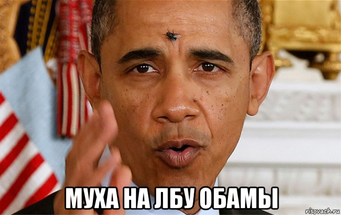  муха на лбу обамы, Мем Без ошибки
