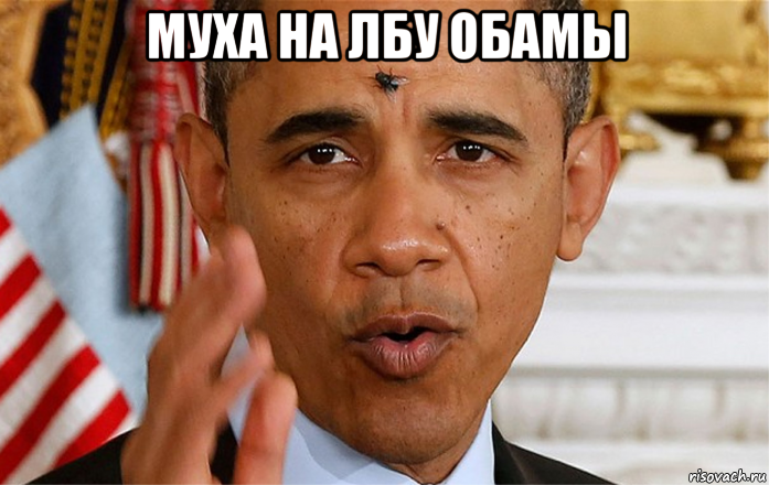 муха на лбу обамы , Мем Без ошибки