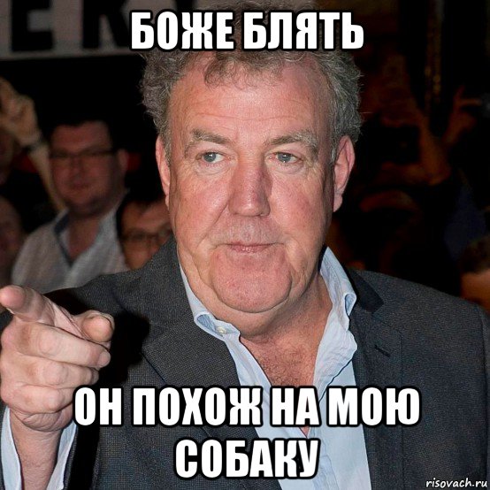 боже блять он похож на мою собаку