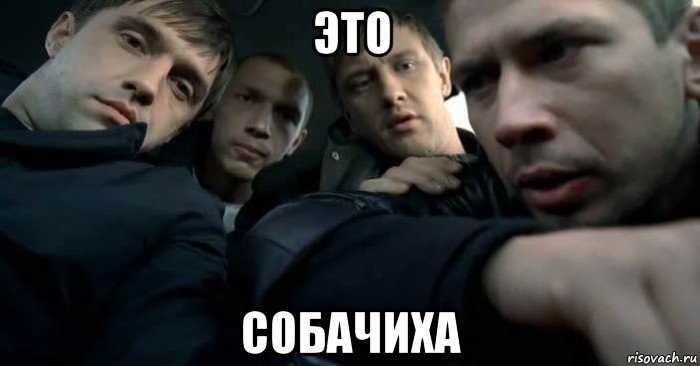 это собачиха, Мем Бумер