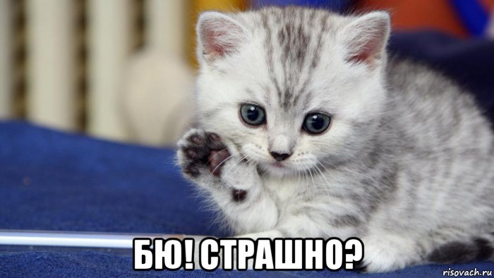 бю! страшно?, Мем Бюю