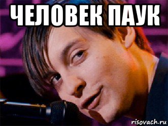 человек паук , Мем Человек паук