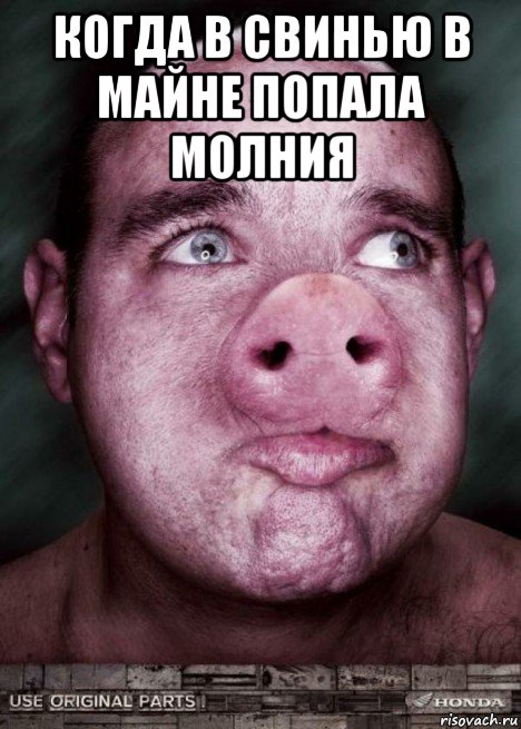 когда в свинью в майне попала молния , Мем Человек-свинья