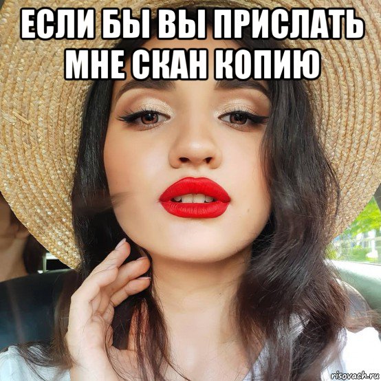 если бы вы прислать мне скан копию , Мем Дашка кудряшка