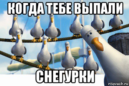 когда тебе выпали снегурки