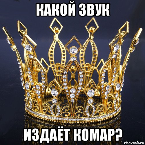 какой звук издаёт комар?, Мем День ювелира