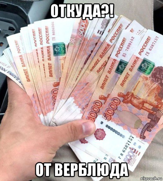 откуда?! от верблюда, Мем Денюжка