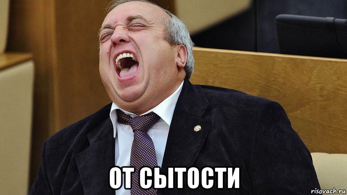  от сытости, Мем Депутат