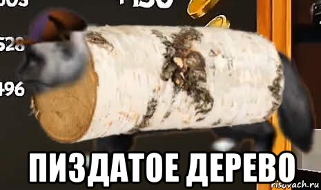  пиздатое дерево, Мем Дерово пизды