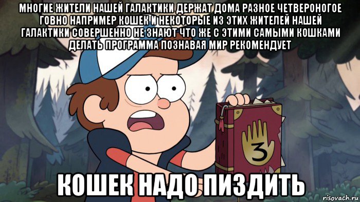 многие жители нашей галактики держат дома разное четвероногое говно например кошек и некоторые из этих жителей нашей галактики совершенно не знают что же с этими самыми кошками делать программа познавая мир рекомендует кошек надо пиздить
