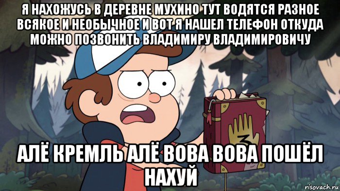 я нахожусь в деревне мухино тут водятся разное всякое и необычное и вот я нашел телефон откуда можно позвонить владимиру владимировичу алё кремль алё вова вова пошёл нахуй