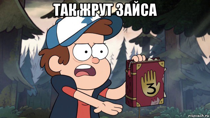 так жрут зайса 