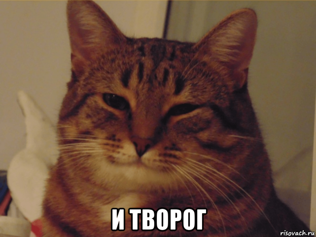  и творог