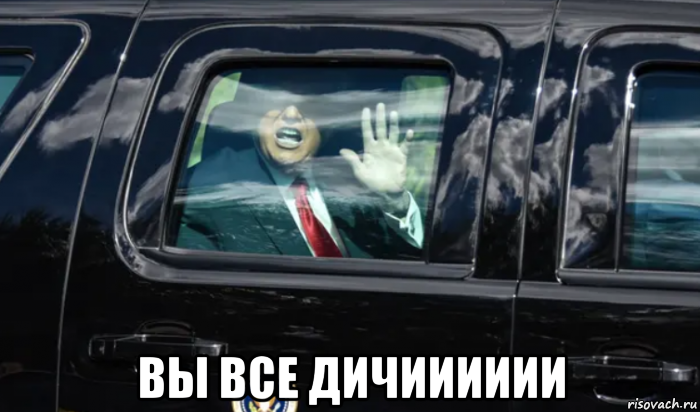  вы все дичииииии, Мем Donald Trump