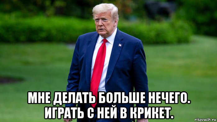  мне делать больше нечего. играть с ней в крикет., Мем Donald Trump