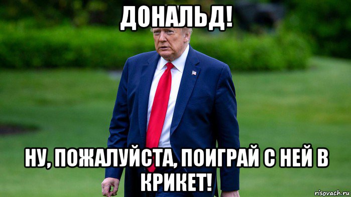 дональд! ну, пожалуйста, поиграй с ней в крикет!, Мем Donald Trump