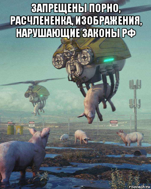 запрещены порно, расчлененка, изображения, нарушающие законы рф , Мем Дрон