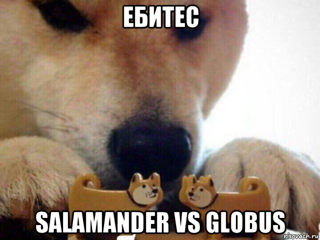 ебитес salamander vs globus, Мем А теперь целуйтесь