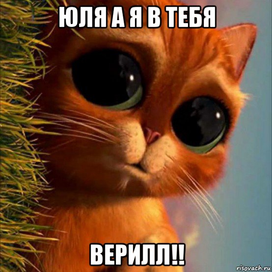 юля а я в тебя верилл!!, Мем Еххх