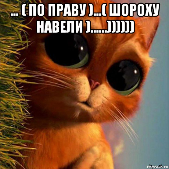 ... ( по праву )...( шороху навели )......)))))) , Мем Еххх