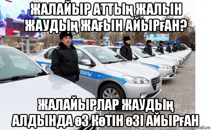 жалайыр аттың жалын жаудың жағын айырған? жалайырлар жаудың алдында өз көтін өзі айырған