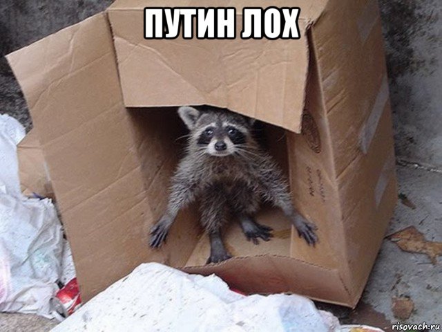 путин лох 