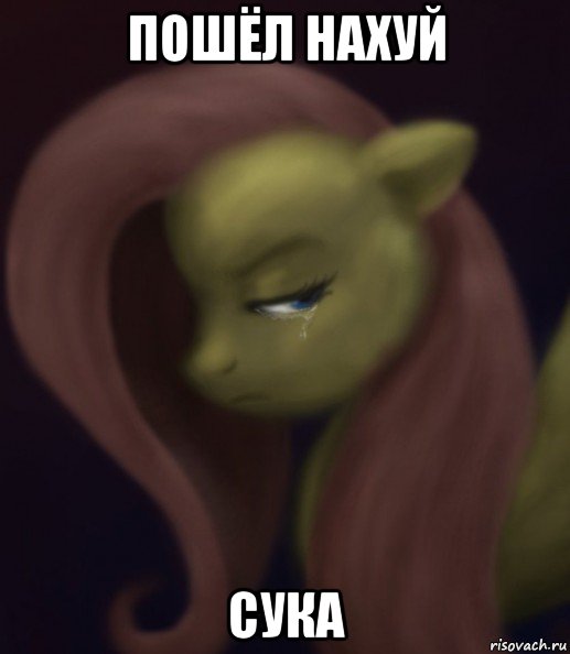 пошёл нахуй сука, Мем Fluttershy