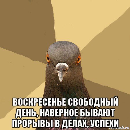  воскресенье свободный день, наверное бывают прорывы в делах, успехи