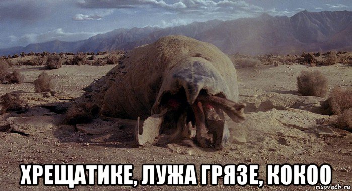  хрещатике, лужа грязе, кокоо, Мем Graboid