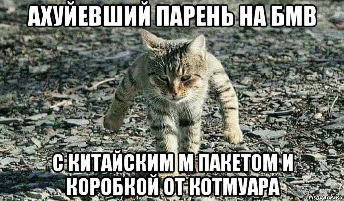 ахуйевший парень на бмв с китайским м пакетом и коробкой от котмуара, Мем Грозный кот