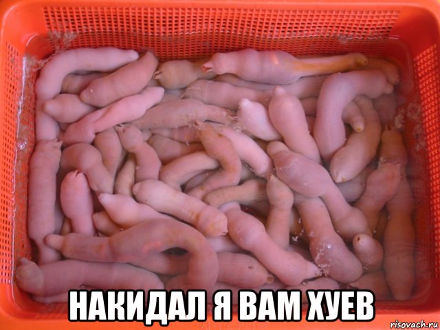  накидал я вам хуев, Мем Хуи
